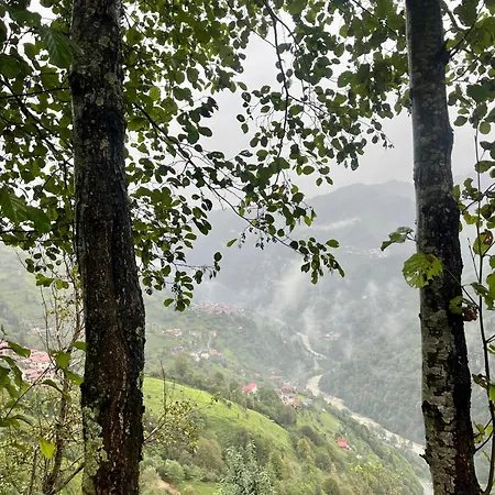 Hotel Rahatla Bungolow